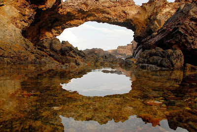 Tidepools along a craggy stretch of coastline on Aruba.