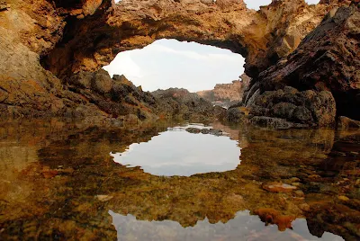 Tidepools along a craggy stretch of coastline on Aruba.
