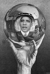 Reflecting Sphere selfie poster 2