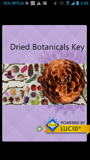 Dried Botanicals Key