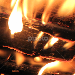 wood by Darius Morgendorfer - Abstract Fire & Fireworks