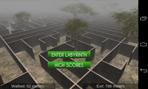 Labyrinth Escape