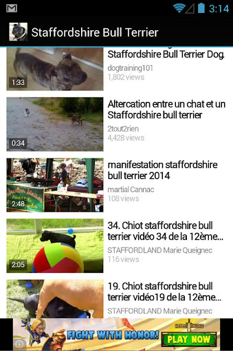 【免費書籍App】Staffordshire Bull Terrier Dog-APP點子