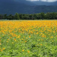 雲山水 VillaHome 民宿
