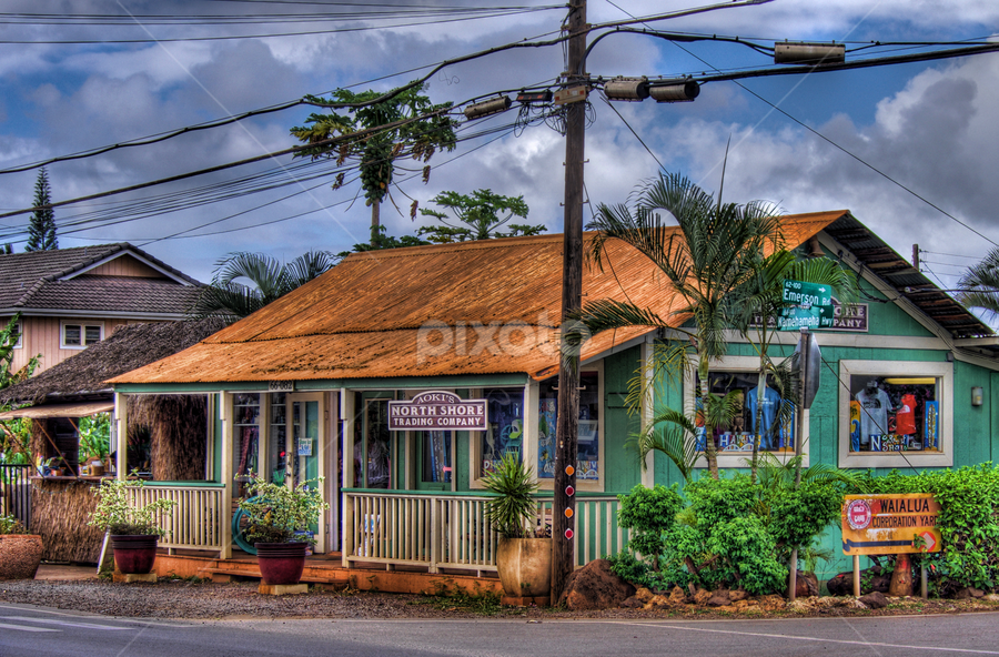Aoki's by Brad Maberto - City,  Street & Park Markets & Shops