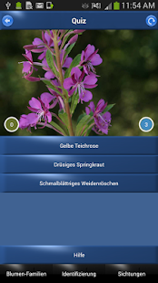 Blumen Id Automatik + Fotoerkennung für Wildblumen(圖4)-速報App