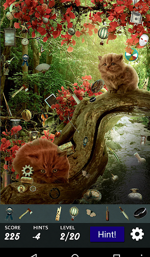 Hidden Object - Cats Island