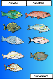 fish lagoon poster 1