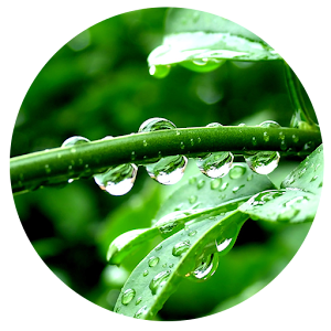 Nature 1 - Wallpapers 1.0