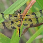 Halloween Pennant