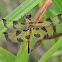 Halloween Pennant