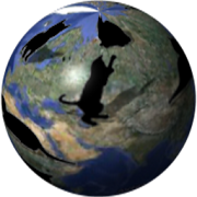 Cats Town 3.2 Icon