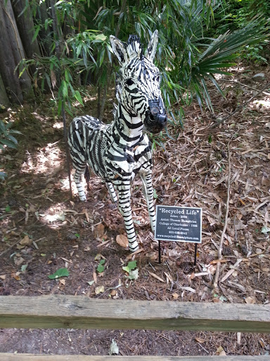 Recycled Life Zebra Art