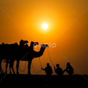 the ships and the sailors by Vineet Singh - Landscapes Sunsets & Sunrises