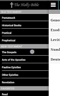 The Holly Bible - screenshot thumbnail