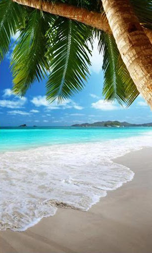 Tropical Beach Live Wallpaper