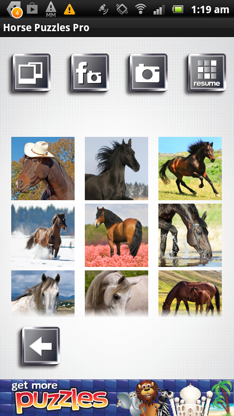 Horse Puzzles Pro Screen 3