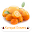 Kumquat Growers Download on Windows