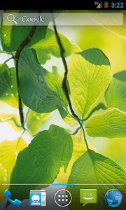 Green Leaves HD Wallpaper – Green Leaves HD Live Wallpaper with cool 3D