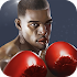 Punch Boxing 3D1.1.1
