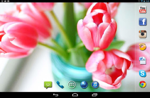 【免費個人化App】Springs Flowers Tulips HQ LWP-APP點子