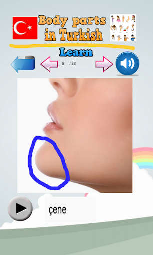 免費下載教育APP|터키어 신체 부위를 알아보십시오 app開箱文|APP開箱王