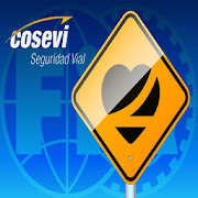 Consultar Certificacion Cosevi  Icon