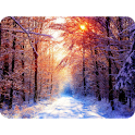 Snow Landscape logo