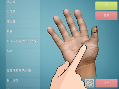 Drag&Drop Reflexology (hands)(圖5)-速報App