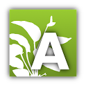 Aqua Enlightenment icon
