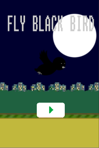 Fly Black Bird