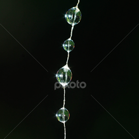 by Pani Indra - Nature Up Close Water