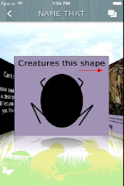 Let's Go Pond Dipping poster 2