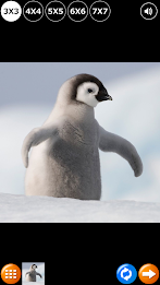 Tile Puzzle: Birds poster 7