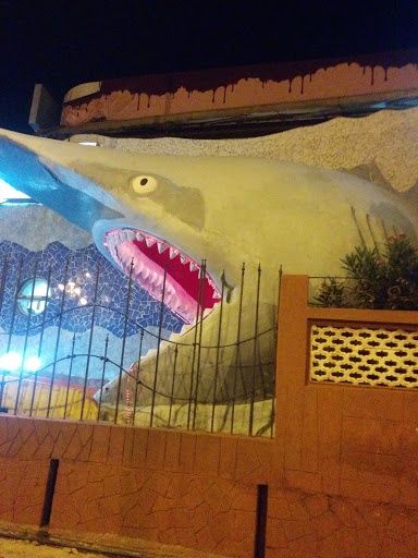 Horror Shark, Beach Road
