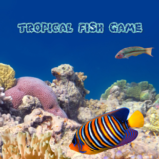How to mod Tropical Fish Game 1.0 apk for android