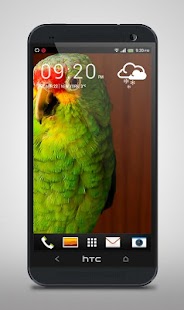 How to mod Green Parrot Live Wallpaper patch 1.1 apk for bluestacks