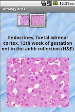 Histology Atlas