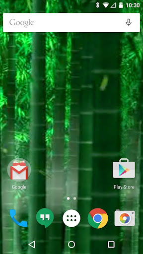 【免費生活App】竹林動態壁紙-APP點子