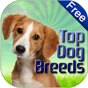 Dog Breeds Easy Pet Finder  Icon