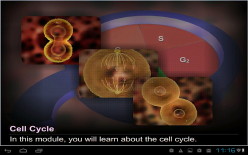Download Cell cycle and Mitosis APK for Android