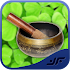 Ayurvedic Remedies1.9