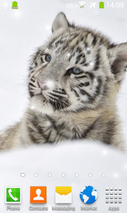 download Little Tiger Live Wallpaper free