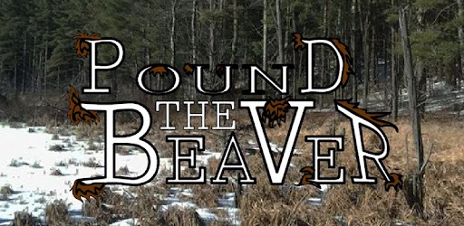 Изображения Pound The Beaver на ПК с Windows