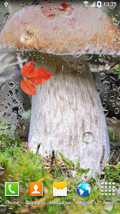 How to get Autumn Wallpaper 1.0.3 unlimited apk for laptop