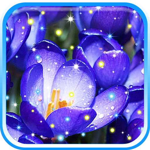 Crocuses HQ Live Wallpaper LOGO-APP點子