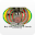 Radio Toulde Download on Windows