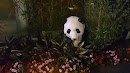 Panda Statue