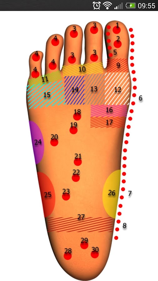 Massage Body Spots Android Apps on Google Play