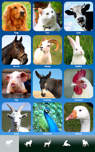 免費下載教育APP|ZOOLA Animals - Free app開箱文|APP開箱王